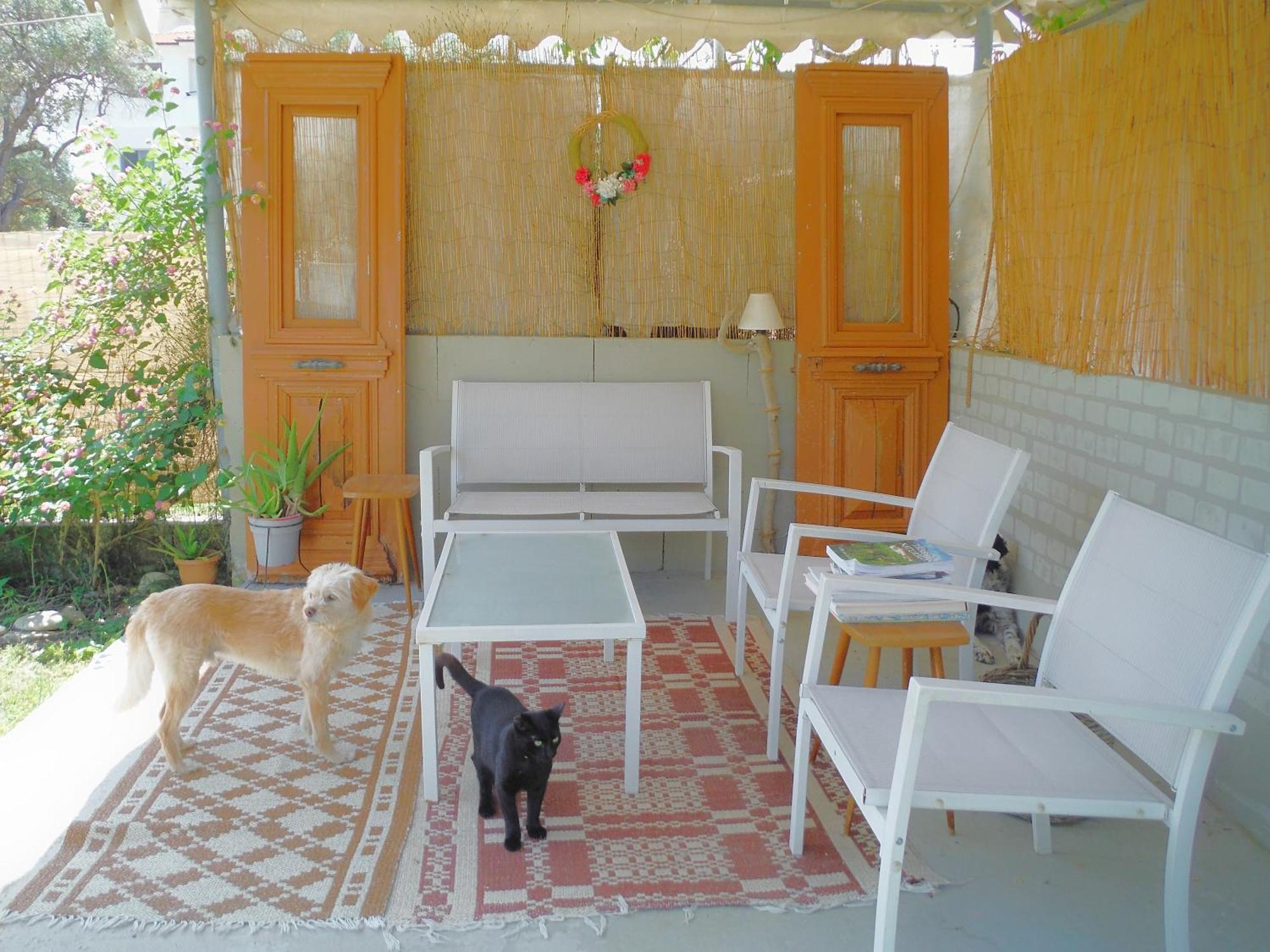לימנאס Port Rooms מראה חיצוני תמונה